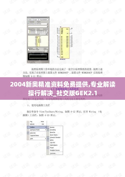 2004新奥精准资料免费提供,专业解读操行解决_社交版GEK2.1