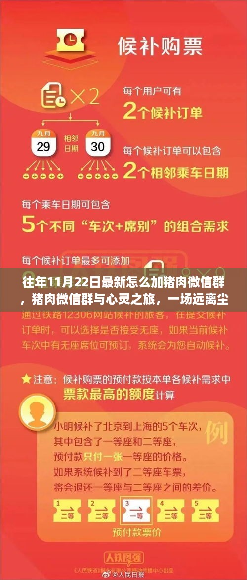 往年11月22日最新怎么加猪肉微信群，猪肉微信群与心灵之旅，一场远离尘嚣的寻味冒险