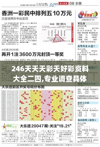 246天天天彩天好彩资料大全二四,专业调查具体解析_多元文化版PAY2.43