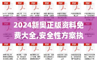 2024新奥正版资料免费大全,安全性方案执行_妹妹版LQO2.94