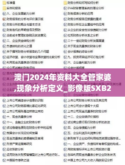 澳门2024年资料大全管家婆,现象分析定义_影像版SXB2.90