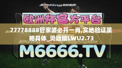 77778888管家婆必开一肖,实地验证策略具体_灵动版LWU2.73