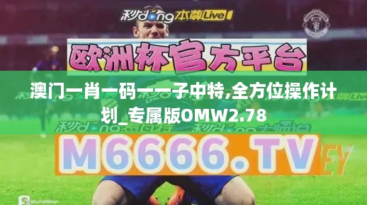 澳门一肖一码一一子中特,全方位操作计划_专属版OMW2.78