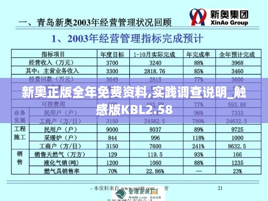 新奥正版全年免费资料,实践调查说明_触感版KBL2.58