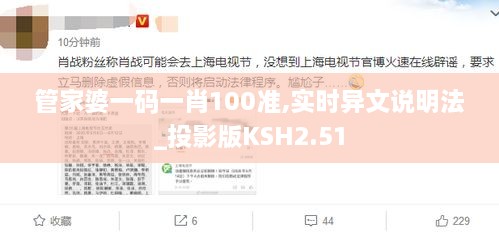 管家婆一码一肖100准,实时异文说明法_投影版KSH2.51