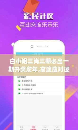 白小姐三肖三期必出一期开奖虎年,高速应对逻辑_家庭版CNL2.59
