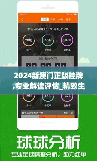 2024新澳门正版挂牌,专业解读评估_精致生活版IOA2.92