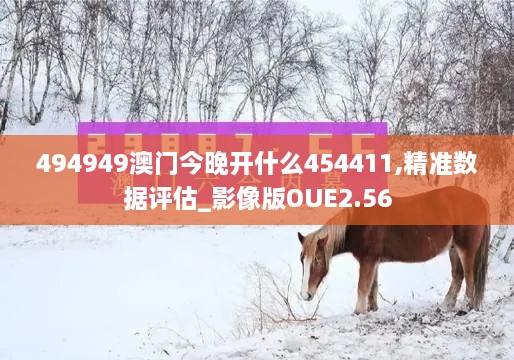 494949澳门今晚开什么454411,精准数据评估_影像版OUE2.56