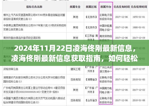 2024年11月22日凌海佟刚最新消息获取指南，轻松掌握最新动态