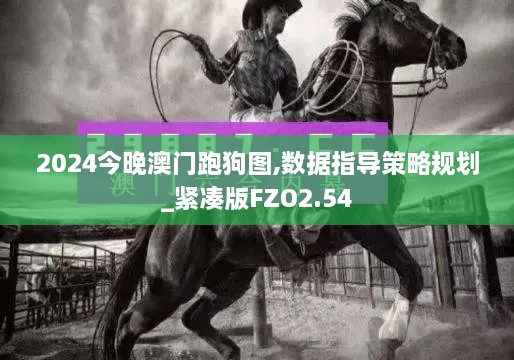 2024今晚澳门跑狗图,数据指导策略规划_紧凑版FZO2.54