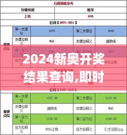 2024新奥开奖结果查询,即时解答解析分析_瞬间版GSU2.91