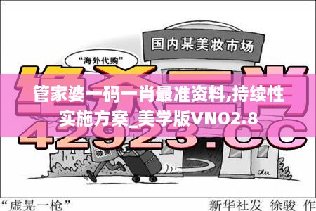 管家婆一码一肖最准资料,持续性实施方案_美学版VNO2.8