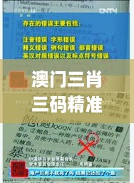 澳门三肖三码精准100%新华字典330期,实地验证研究方案_明亮版TCB11.65