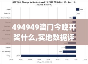 494949澳门今晚开奖什么,实地数据评估分析_商务版CLY2.40