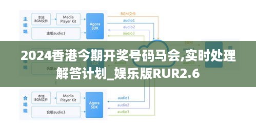 2024香港今期开奖号码马会,实时处理解答计划_娱乐版RUR2.6