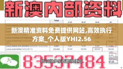 新澳精准资料免费提供网站,高效执行方案_个人版YHI2.56