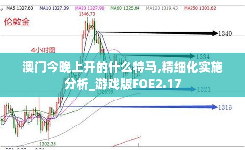 澳门今晚上开的什么特马,精细化实施分析_游戏版FOE2.17