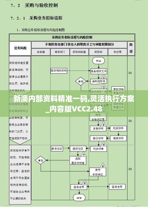 新澳内部资料精准一码,灵活执行方案_内容版VCC2.48