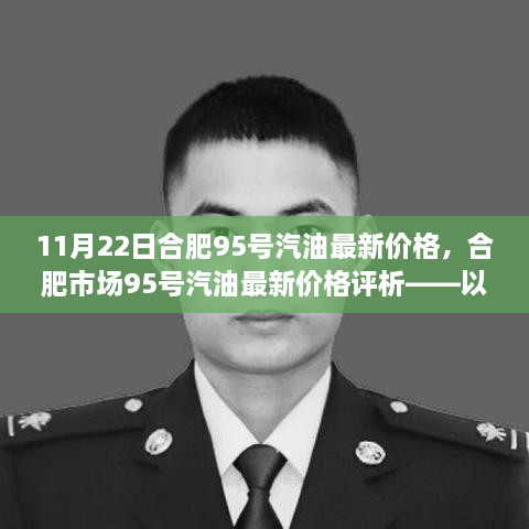 11月22日合肥95号汽油最新价格，合肥市场95号汽油最新价格评析——以11月22日为观察点