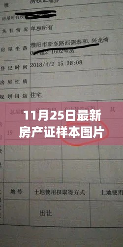 11月25日最新房产证样本图片，最新房产证样本图片探析，透视其价值与争议