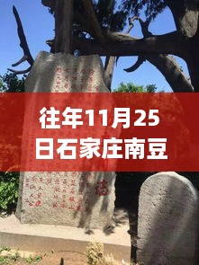 往年11月25日石家庄南豆村最新消息，石家庄南豆村，十一月二十五日的时光印记与变迁见证