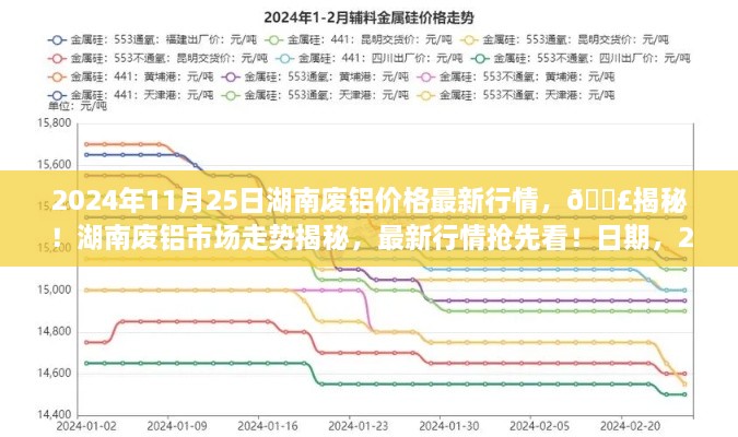 2024年11月25日湖南废铝价格最新行情，📣揭秘！湖南废铝市场走势揭秘，最新行情抢先看！日期，2024年11月25日📆