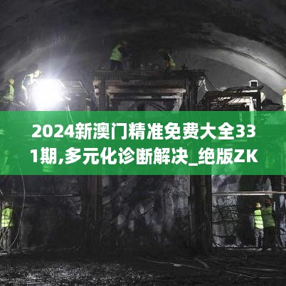 2024新澳门精准免费大全331期,多元化诊断解决_绝版ZKE11.20