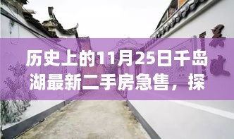 历史上的11月25日千岛湖最新二手房急售，探秘千岛湖隐秘小巷，揭秘历史气息浓厚的二手房急售背后的故事与一家独特小店