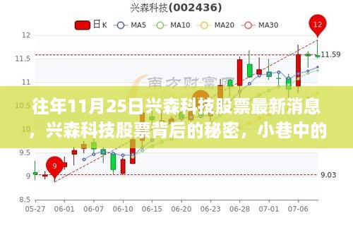 兴森科技股票最新动态揭秘，特色小店背后的秘密探秘