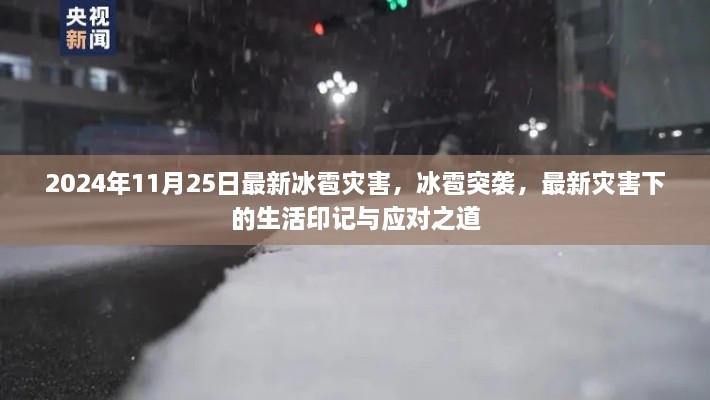 冰雹突袭下的生活印记与应对之道，最新灾害下的生活纪实（2024年冰雹灾害）