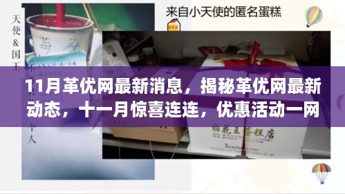 揭秘革优网最新动态，十一月优惠活动一网打尽，惊喜连连看！