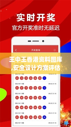 王中王香港资料图库,安全设计方案评估_多功能版BWC9.60