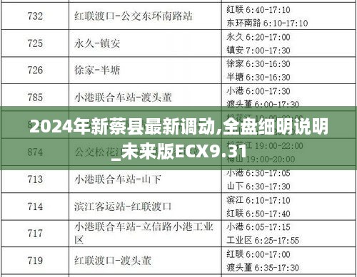 2024年新蔡县最新调动,全盘细明说明_未来版ECX9.31