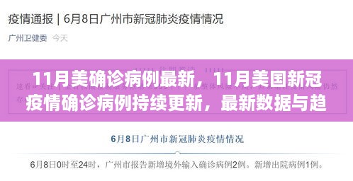 11月美确诊病例最新，11月美国新冠疫情确诊病例持续更新，最新数据与趋势分析