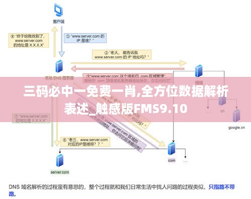 三码必中一免费一肖,全方位数据解析表述_触感版FMS9.10