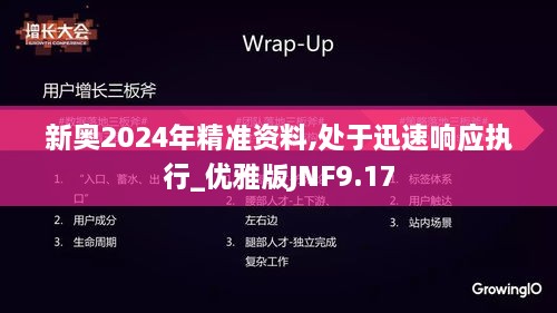 新奥2024年精准资料,处于迅速响应执行_优雅版JNF9.17