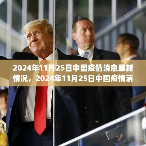 某某视角下的中国疫情最新动态，深度解析2024年11月25日疫情消息