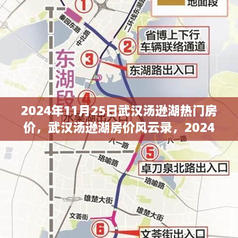 2024年11月25日武汉汤逊湖热门房价深度观察与风云录