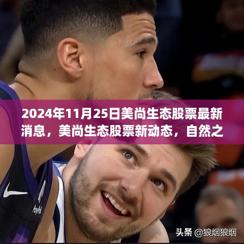 2024年11月25日美尚生态股票最新消息，美尚生态股票新动态，自然之旅的呼唤，启程寻找内心的宁静与美景