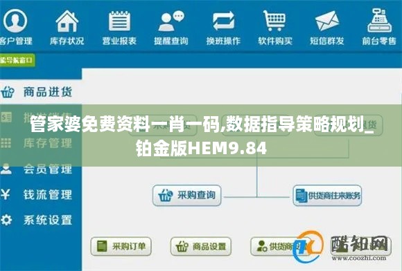 管家婆免费资料一肖一码,数据指导策略规划_铂金版HEM9.84