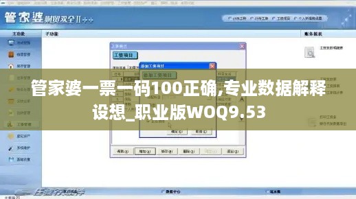 管家婆一票一码100正确,专业数据解释设想_职业版WOQ9.53