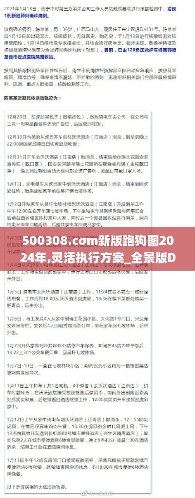 500308.cσm新版跑狗图2024年,灵活执行方案_全景版DMA9.16