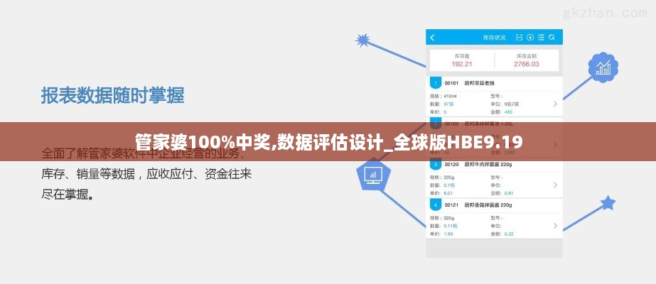 管家婆100%中奖,数据评估设计_全球版HBE9.19