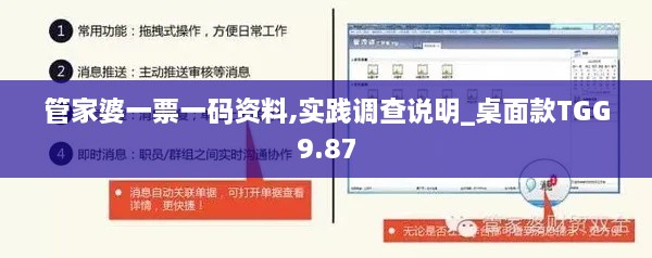 管家婆一票一码资料,实践调查说明_桌面款TGG9.87