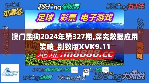 澳门跑狗2024年第327期,深究数据应用策略_别致版XVK9.11