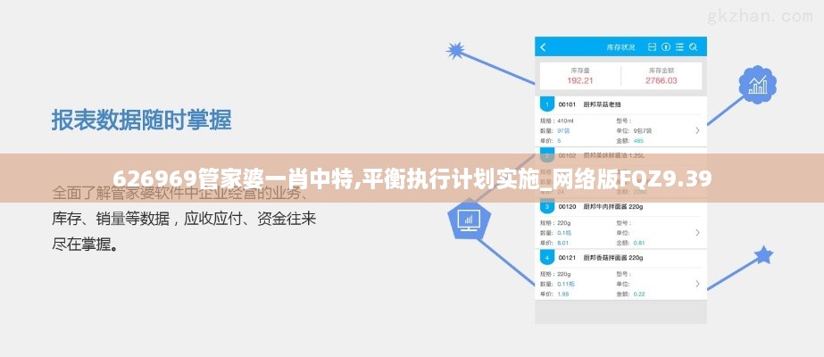 626969管家婆一肖中特,平衡执行计划实施_网络版FQZ9.39