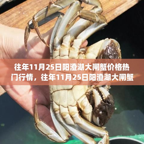 往年11月25日阳澄湖大闸蟹价格行情深度解析与热门市场观点碰撞