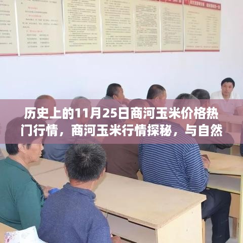 商河玉米行情揭秘，历史价格回顾与美景邂逅之旅