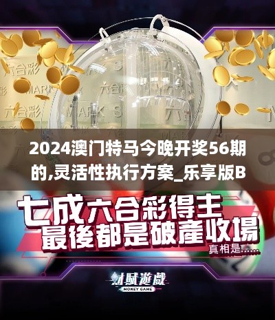 2024澳门特马今晚开奖56期的,灵活性执行方案_乐享版BNM9.71