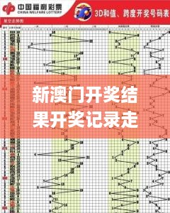 新澳门开奖结果开奖记录走势图表,效率评估方案_豪华款RTX9.26